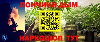 крисы Заводоуковск