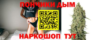 крисы Заводоуковск
