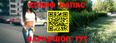 крисы Заводоуковск