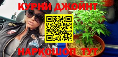 крисы Заводоуковск