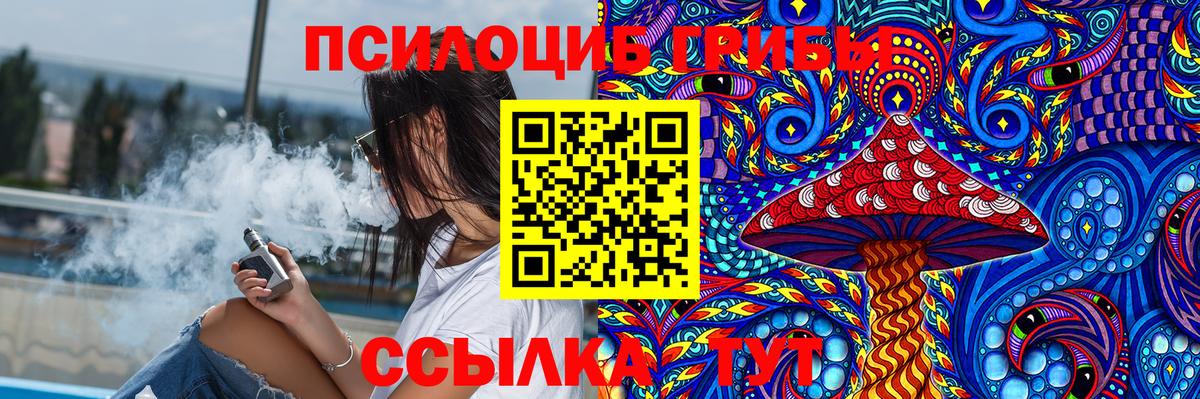 Борзя  Галлюциногенные грибы Psilocybine cubensis  где купить наркоту  Вход с VPN 